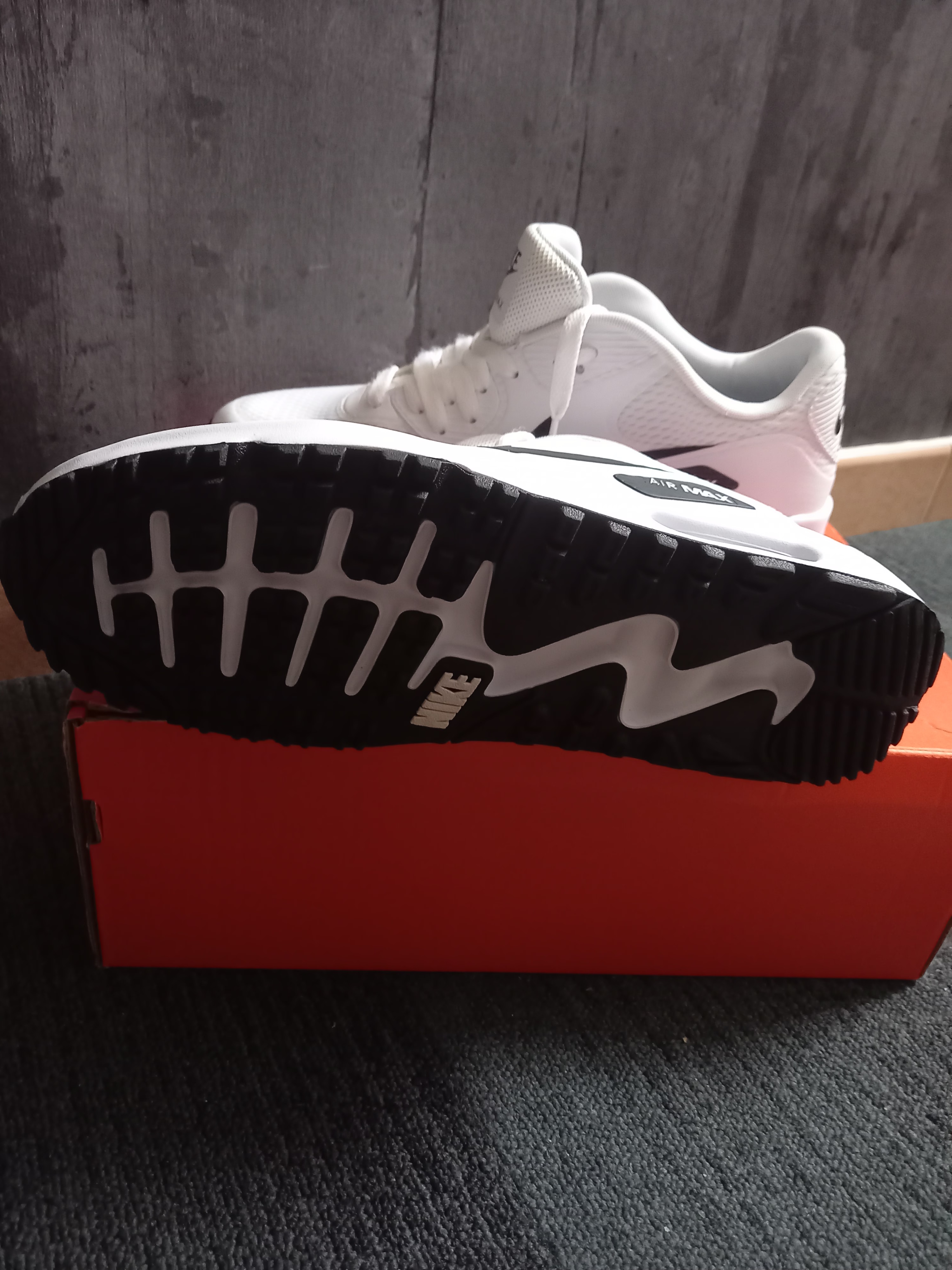 BASKET NIKE air max blanche GOLF taille 43