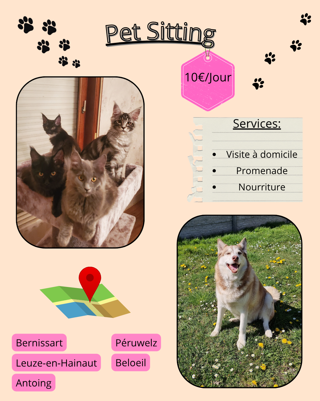 Pet sitting