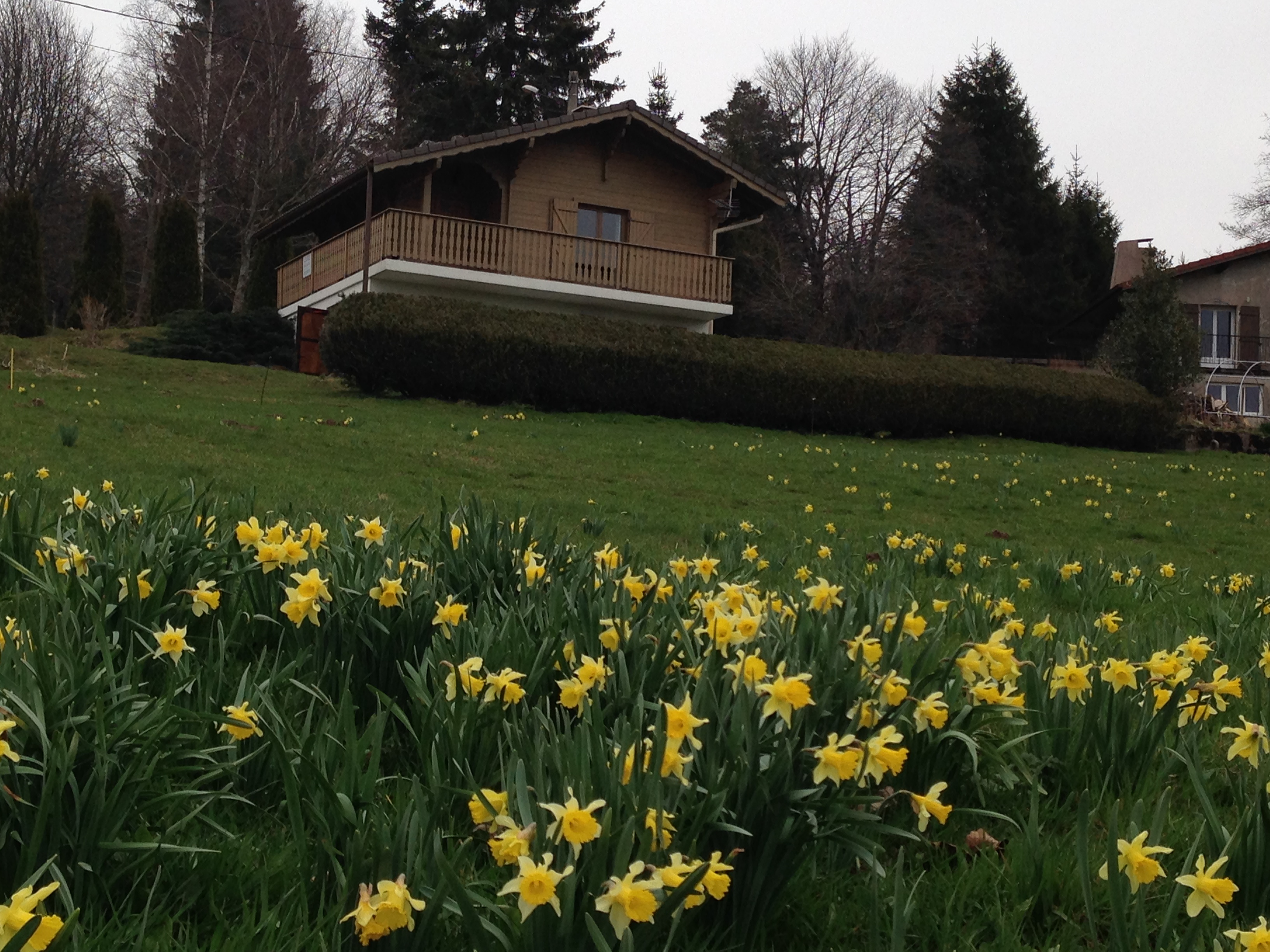 Chalet à louer dans les vosges proche de Gerardmer